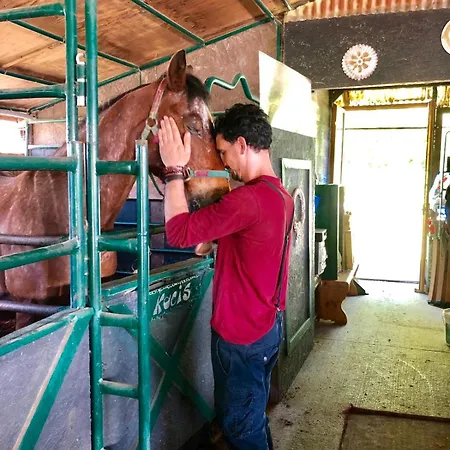 ベッド・アンド・ブレックファスト La Baia Dei Lupi