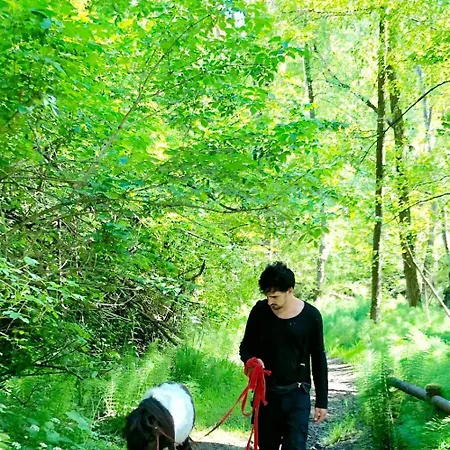 ベッド・アンド・ブレックファスト La Baia Dei Lupi *