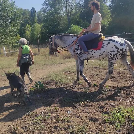 La Baia Dei Lupi ベッド・アンド・ブレックファスト *