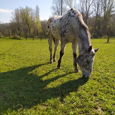 La Baia Dei Lupi Rezzano