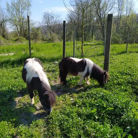 La Baia Dei Lupi ベッド・アンド・ブレックファスト