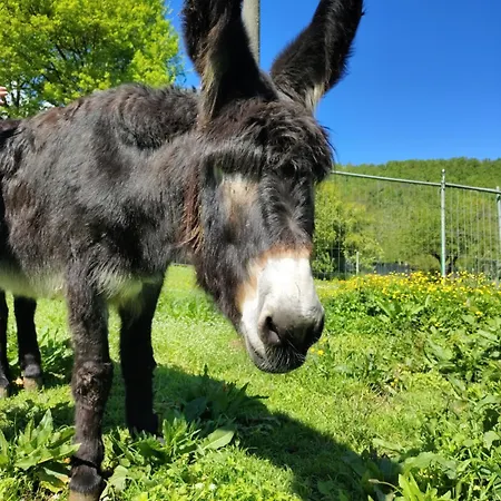 ベッド・アンド・ブレックファスト La Baia Dei Lupi Rezzano