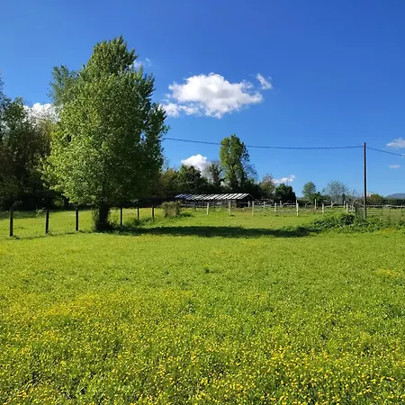 La Baia Dei Lupi * Rezzano