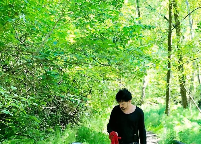 Bed and breakfast La Baia Dei Lupi *