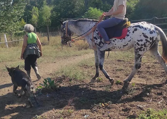La Baia Dei Lupi Bed and breakfast *