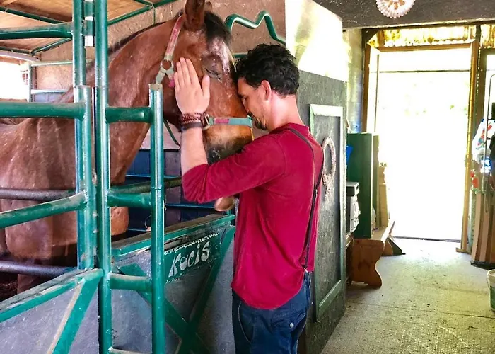 فندق مبيت وإفطار La Baia Dei Lupi