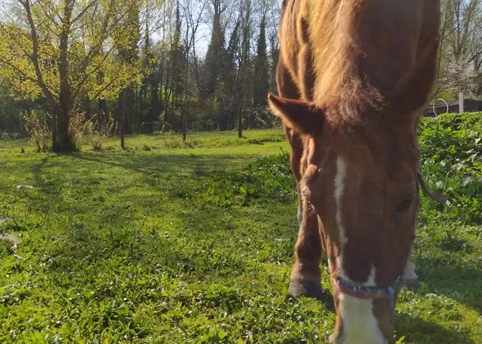 فندق مبيت وإفطار La Baia Dei Lupi Rezzano