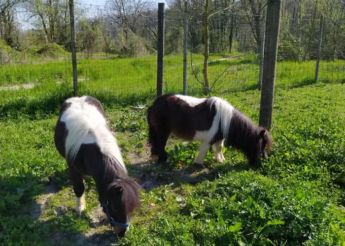 La Baia Dei Lupi Bed & Breakfast